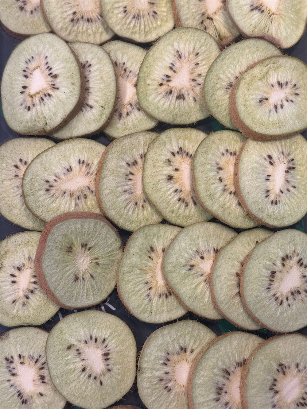 Freeze-Dried Natural Kiwi Slices